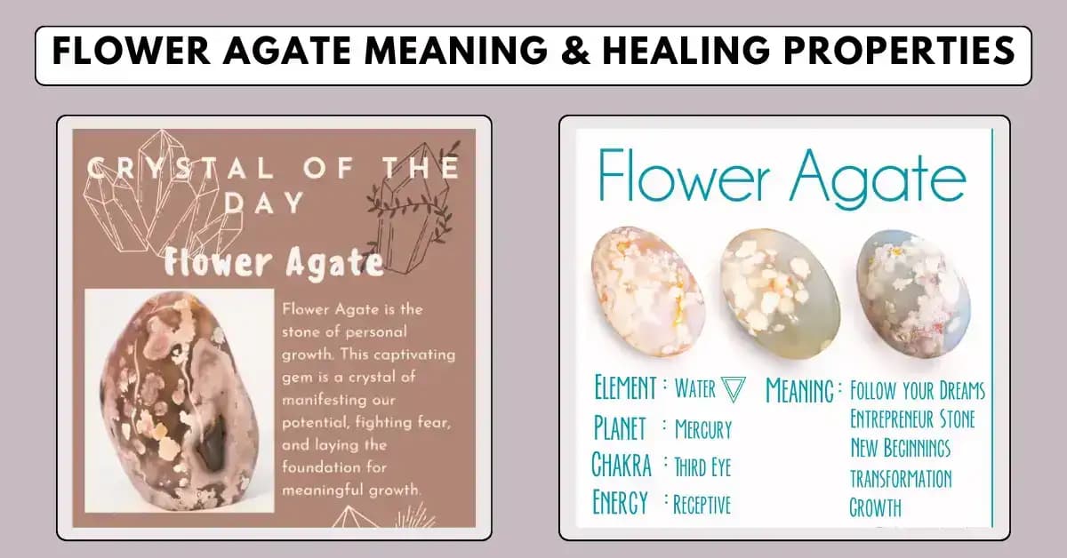 Flower Agate: Meaning, Healing Properties & How to Use It