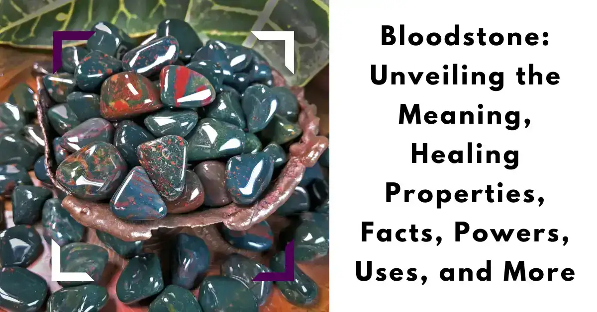 Bloodstone: Unveiling the Meaning, Healing Properties, Facts, Powers, Uses, and More